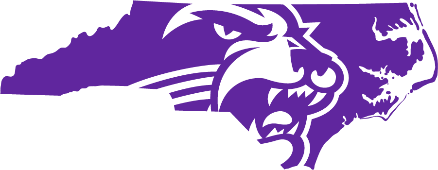Western Carolina Catamounts 2018-Pres Secondary Logo diy iron on heat transfer